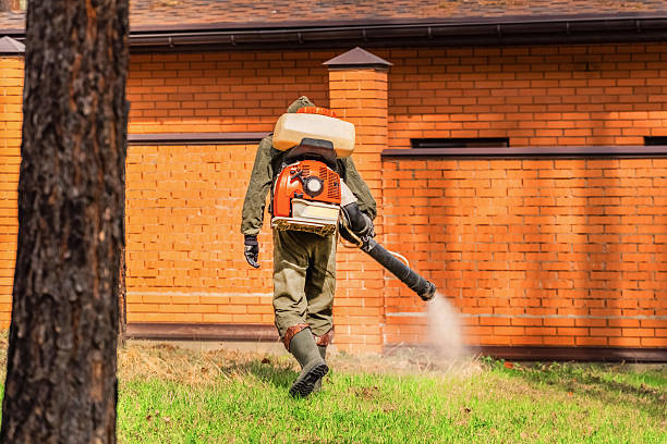 Trusted Fumigation Services service in Strasburg, CO - Nex Pest Control